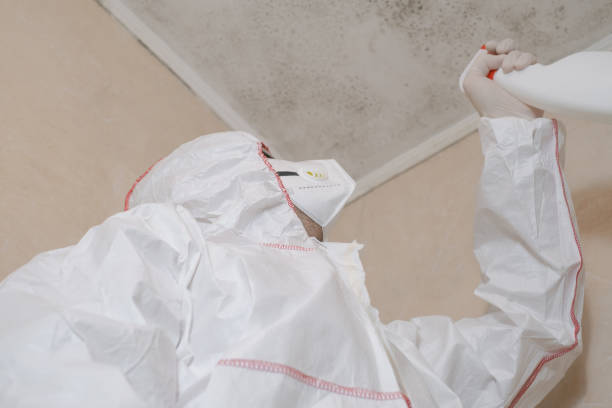 Home Mold Removal in Toppers, OK